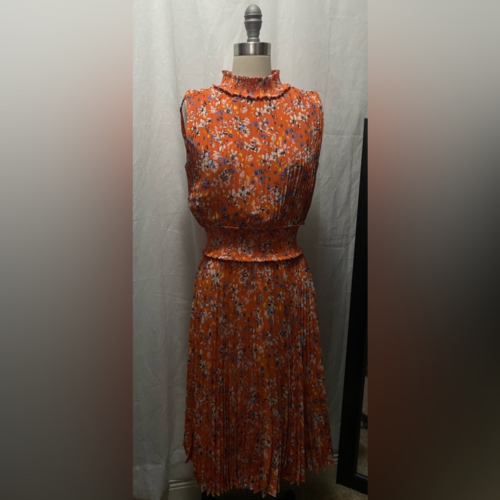Chiffon Nanette Dress (8)